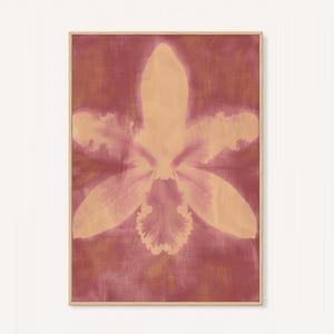 May include: A rectangular framed wall art piece featuring a large, centred orchid flower silhouette in a soft peach tone against a deep, textured maroon background. The artwork is enclosed in a thin, light-coloured wooden frame with a clean finish.