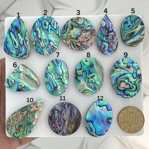 May include: Twelve polished abalone shell cabochons in various shapes and sizes, numbered one through twelve, displaying iridescent blue, green, and purple patterns. A circular gold-coloured coin is positioned next to the twelfth cabochon.