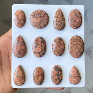 Pode incluir: Uma cole&ccedil;&atilde;o de doze pedras preciosas polidas em v&aacute;rias formas, incluindo ovais, redondas e em forma de gota. As pedras apresentam um padr&atilde;o salpicado com tons de castanho, laranja e preto, sobre um fundo branco.