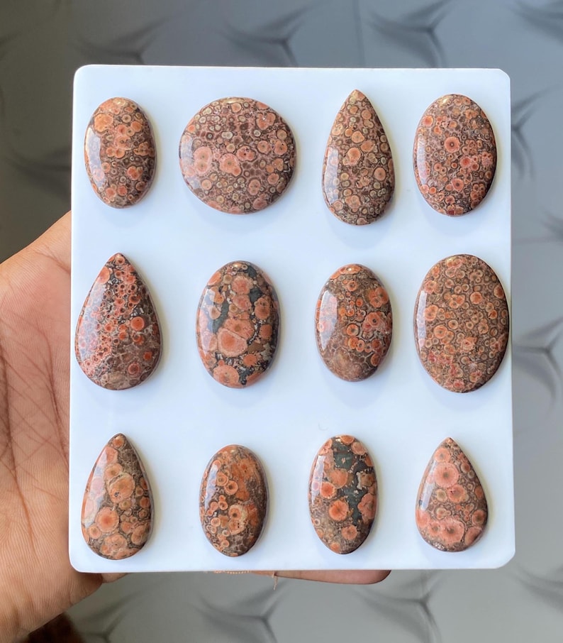 Pode incluir: Uma cole&ccedil;&atilde;o de doze pedras preciosas polidas em v&aacute;rias formas, incluindo ovais, redondas e em forma de gota. As pedras apresentam um padr&atilde;o salpicado com tons de castanho, laranja e preto, sobre um fundo branco.