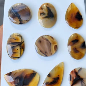May include: Nine polished agate gemstones in various shapes, including round, oval, and teardrop. The stones feature a mix of brown, tan, and cream colors with intricate patterns. The gemstones are displayed on a white surface.