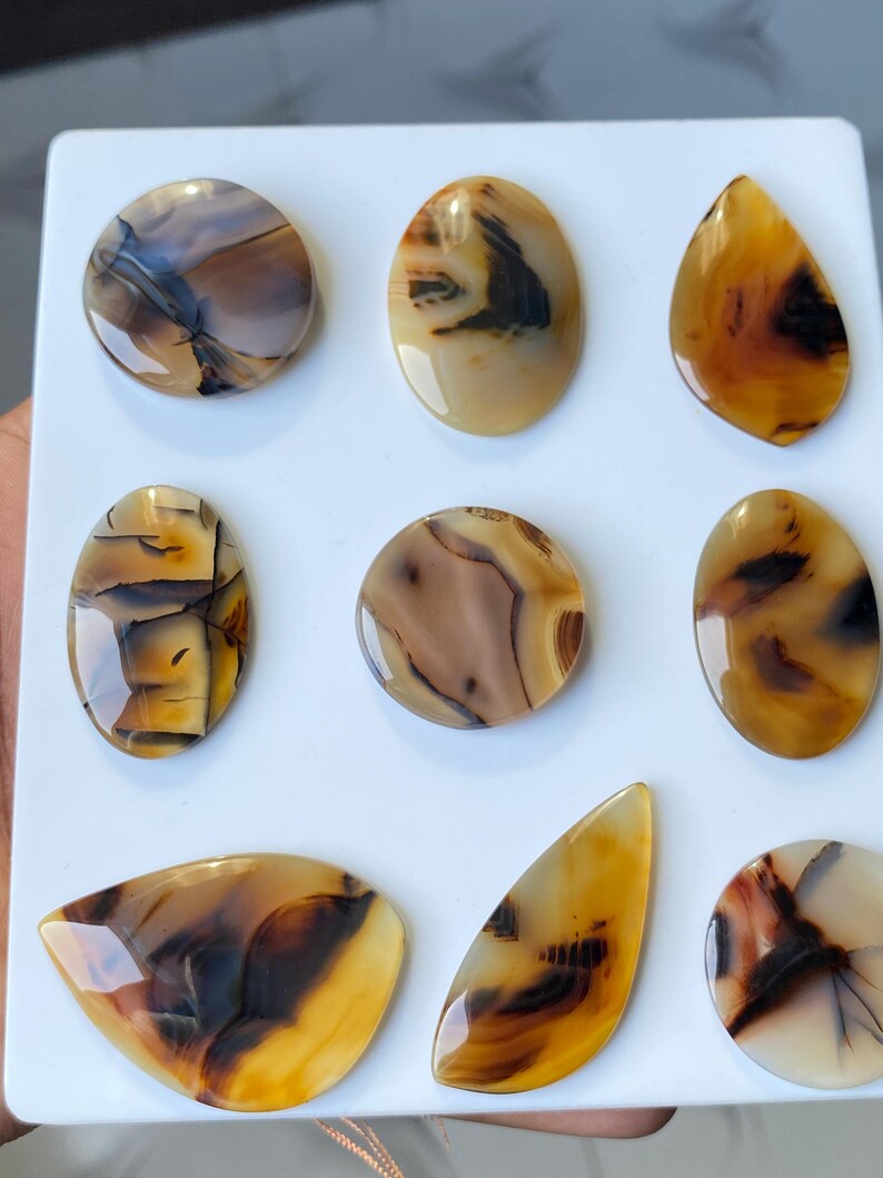 May include: Nine polished agate gemstones in various shapes, including round, oval, and teardrop. The stones feature a mix of brown, tan, and cream colors with intricate patterns. The gemstones are displayed on a white surface.