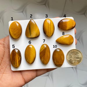 May include: Ten polished tiger's eye gemstones in different shapes, including oval and teardrop. The stones exhibit golden-brown colours with chatoyancy. A gold coin with text is also present.