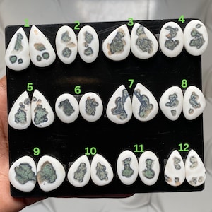 May include: A collection of twelve pairs of polished white cabochon gemstones arranged on a black display board. Each stone features unique, irregular dark green and brown inclusions. The stones are numbered one through twelve in green text.