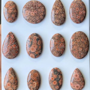Pode incluir: Uma cole&ccedil;&atilde;o de doze pedras preciosas de jaspe leopardo polidas em v&aacute;rias formas, incluindo ovais, em forma de gota e redondas. As pedras exibem um padr&atilde;o manchado de manchas marrom-avermelhadas e pretas sobre um fundo bege. As pedras est&atilde;o dispostas sobre uma superf&iacute;cie branca.