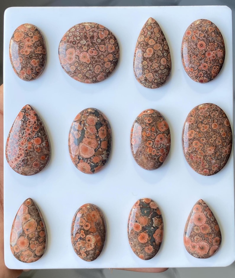 Pode incluir: Uma cole&ccedil;&atilde;o de doze pedras preciosas de jaspe leopardo polidas em v&aacute;rias formas, incluindo ovais, em forma de gota e redondas. As pedras exibem um padr&atilde;o manchado de manchas marrom-avermelhadas e pretas sobre um fundo bege. As pedras est&atilde;o dispostas sobre uma superf&iacute;cie branca.