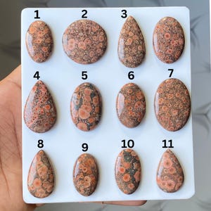 Pode incluir: Uma cole&ccedil;&atilde;o de onze pedras preciosas de jaspe pele de leopardo polidas em v&aacute;rias formas, incluindo ovais, em forma de gota e redondas. As pedras exibem um padr&atilde;o manchado de cores castanho-avermelhadas e creme, com uma apar&ecirc;ncia salpicada. As pedras preciosas est&atilde;o dispostas sobre uma superf&iacute;cie branca.