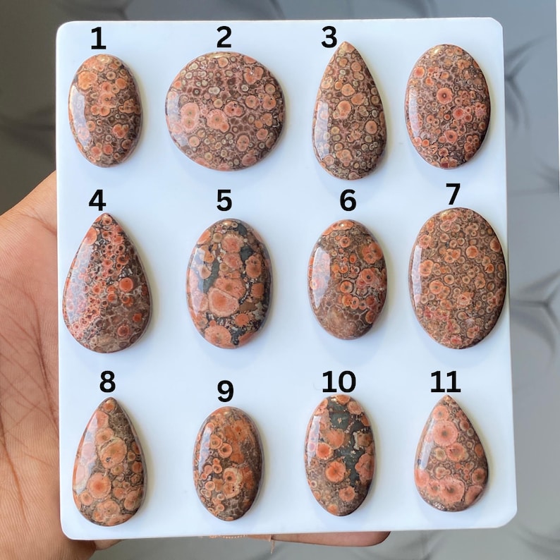 Pode incluir: Uma cole&ccedil;&atilde;o de onze pedras preciosas de jaspe pele de leopardo polidas em v&aacute;rias formas, incluindo ovais, em forma de gota e redondas. As pedras exibem um padr&atilde;o manchado de cores castanho-avermelhadas e creme, com uma apar&ecirc;ncia salpicada. As pedras preciosas est&atilde;o dispostas sobre uma superf&iacute;cie branca.