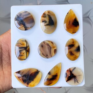 May include: Nine polished gemstones in various shapes, including round, oval, and teardrop. The stones display a mix of brown, tan, and cream colors with unique patterns. The gemstones are arranged on a white surface.