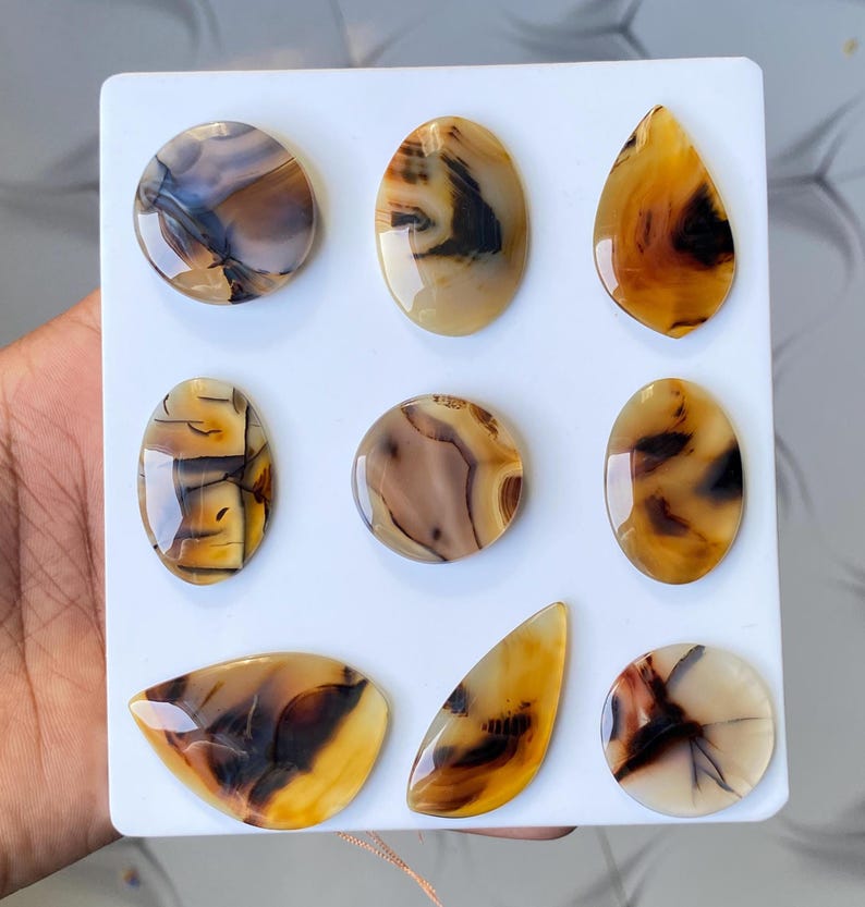 May include: Nine polished gemstones in various shapes, including round, oval, and teardrop. The stones display a mix of brown, tan, and cream colors with unique patterns. The gemstones are arranged on a white surface.