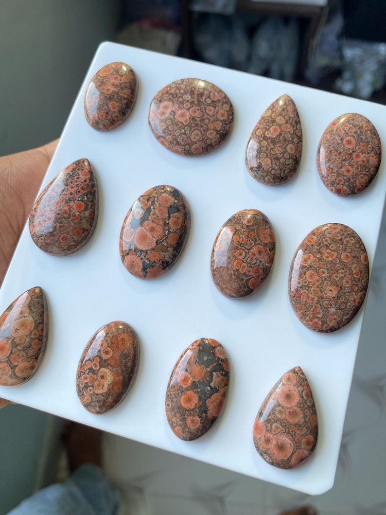 Pode incluir: Uma cole&ccedil;&atilde;o de pedras preciosas de jaspe pele de leopardo polidas em v&aacute;rias formas, incluindo ovais, redondas e em forma de gota. As pedras apresentam um padr&atilde;o manchado de manchas castanho-avermelhadas e pretas sobre um fundo bege. As pedras preciosas s&atilde;o exibidas numa superf&iacute;cie branca.