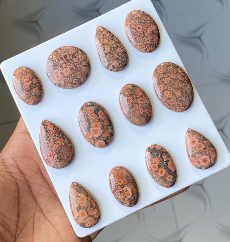 Pode incluir: Uma cole&ccedil;&atilde;o de pedras preciosas de jaspe leopardo polidas em v&aacute;rias formas, incluindo ovais e l&aacute;grimas. As pedras exibem um padr&atilde;o mosqueado de castanho, laranja e preto, sobre um fundo branco. As pedras preciosas est&atilde;o dispostas sobre uma superf&iacute;cie branca.