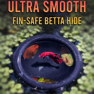Schwimmendes Betta Versteck & Futterring - PETG - Flossensicherer Aquarium Kuppelhöhle - Glatter schwimmender Fischtunnel