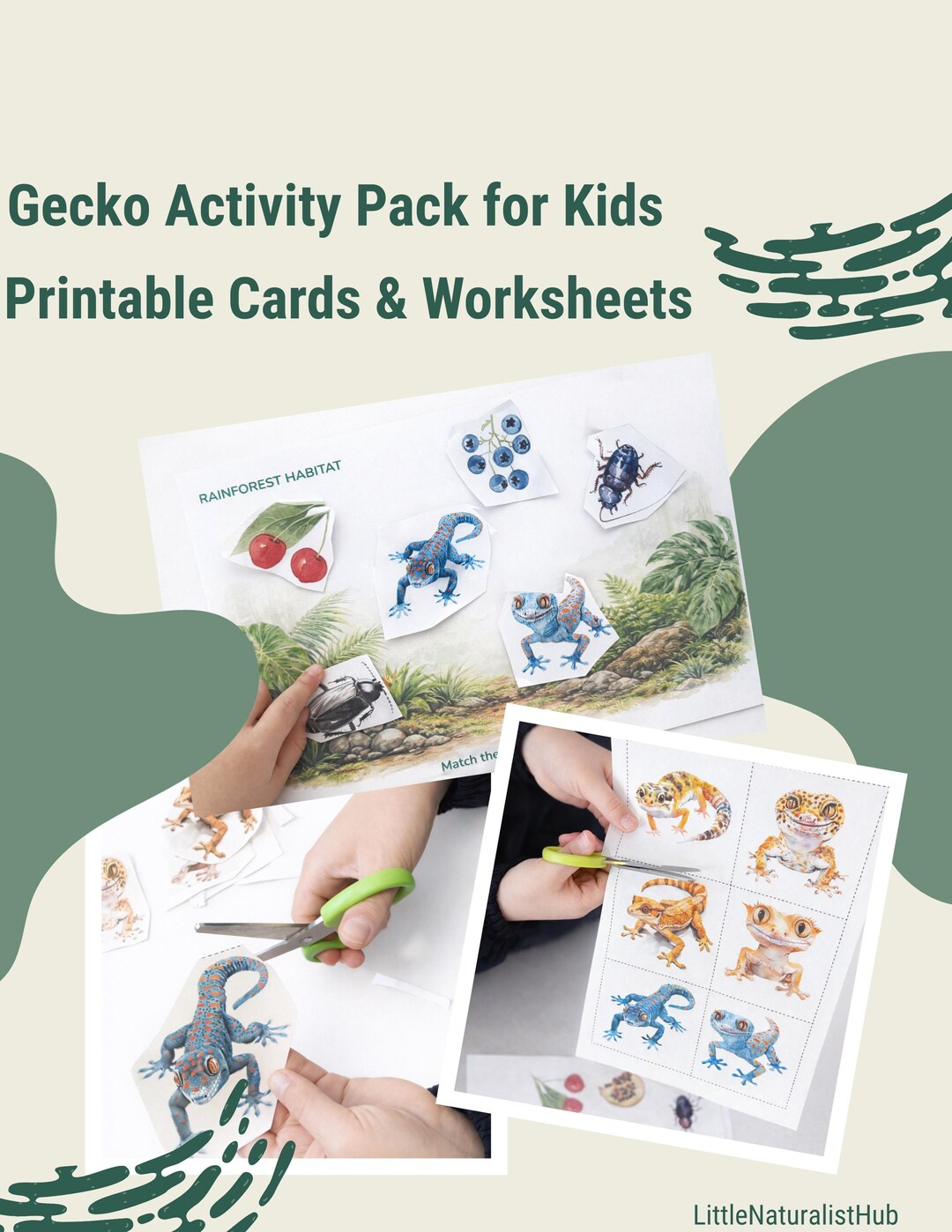 Gecko Activity Pack for Kids | Printable Matching Game, Habitat Cards ...
