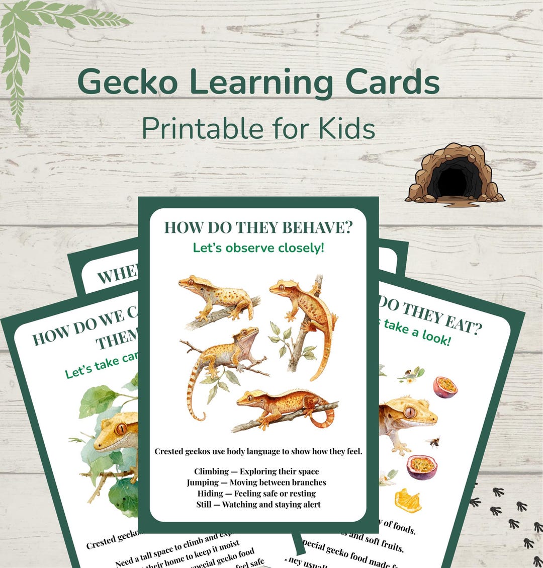 Crested Gecko Learning Cards, Watercolor Reptile Facts (PDF) - Etsy