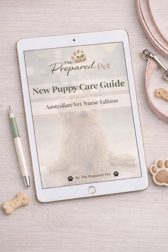 Australian Puppy Care Guide | Vet Nurse Written, First Year Health Timeline (Printable PDF)