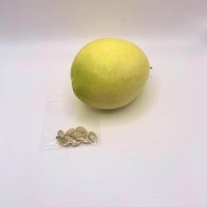May include: A yellow lemon with a small bag of seeds next to it.