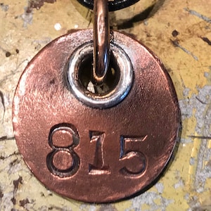 May include: A copper-colored pendant with the number 815 stamped on it. The pendant has a silver-colored ring around the hole for the necklace. The necklace is a black cord.