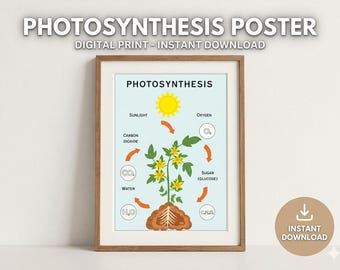 Poster sur la science de la photosynthèse, art mural éducatif sur la biologie végétale (téléchargement numérique)