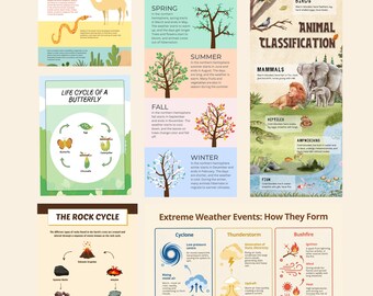 Ensemble d'affiches éducatives sur la météo et la nature, décoration pour la classe de sciences, apprentissage à la maison (ensemble PDF)