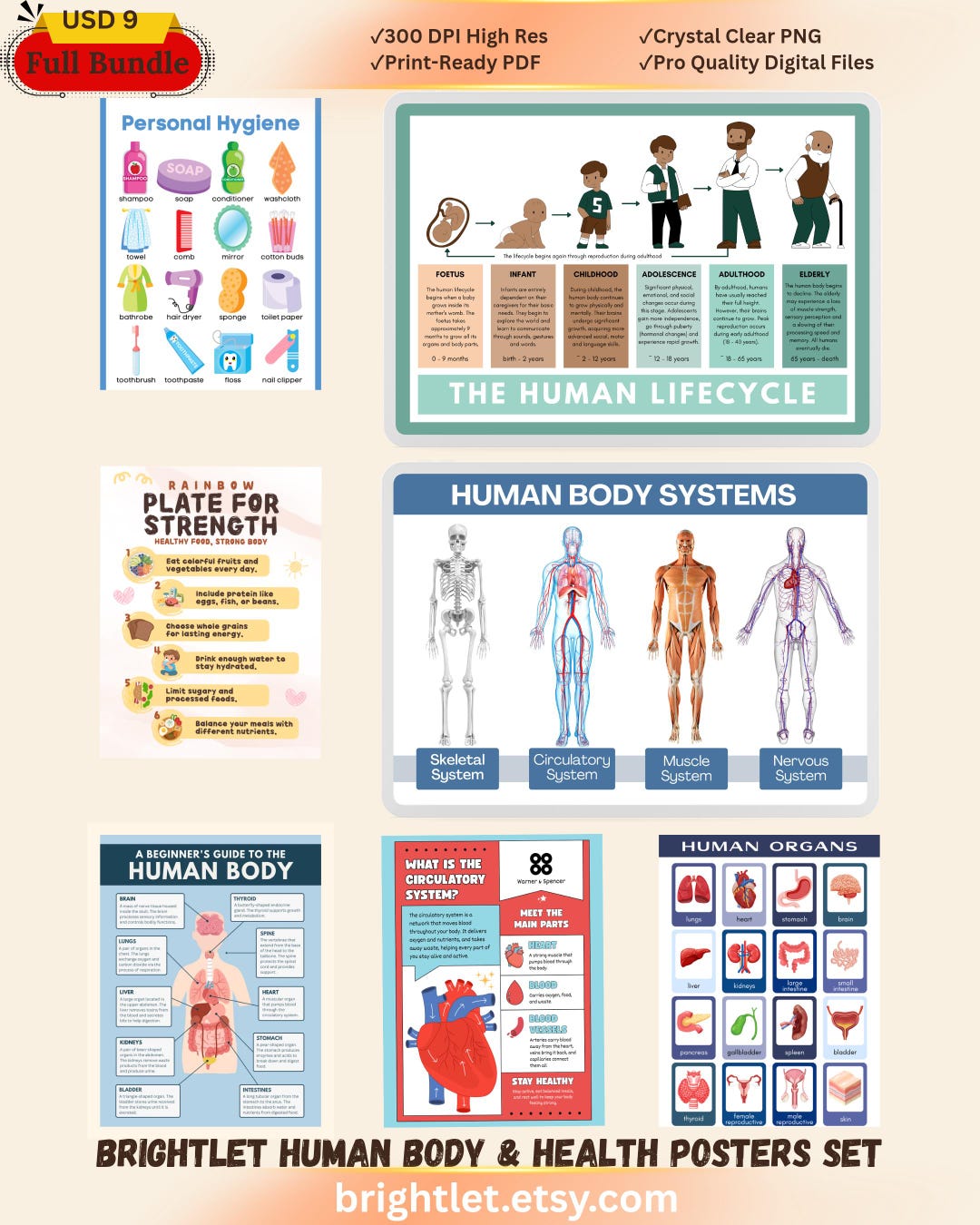 Kids Anatomy Poster Set, Human Body Systems, Health Education Wall Art ...