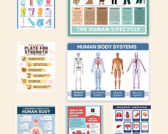 Ensemble d'affiches d'anatomie pour enfants, systèmes du corps humain, art mural éducation à la santé (téléchargement numérique)