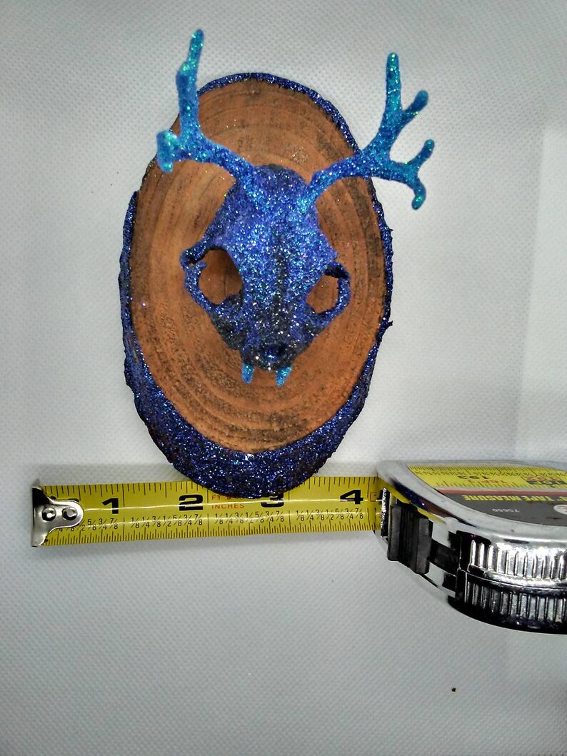 Small Catalope Mounted Skull Blue