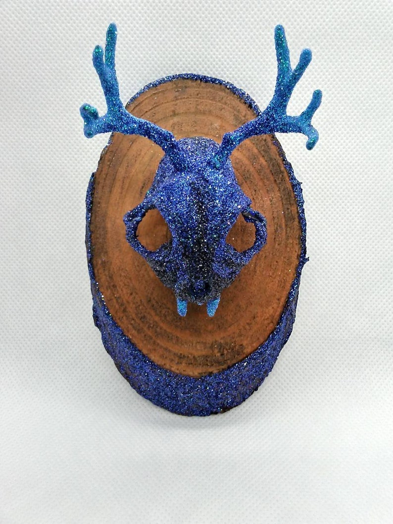 Small Catalope Mounted Skull Blue