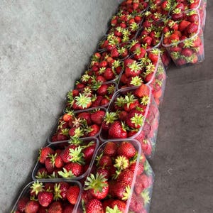 Morangos Liofilizados | Snack de Fruta Crocante 100% Natural | Sem Adição de Açúcar