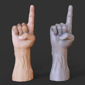 May include: Two 3D-rendered hands, one in realistic skin tones and the other in a gray, monochromatic style. Both hands are positioned with the index finger pointing upwards, set against a dark gray background. The detailed rendering highlights the texture and form.