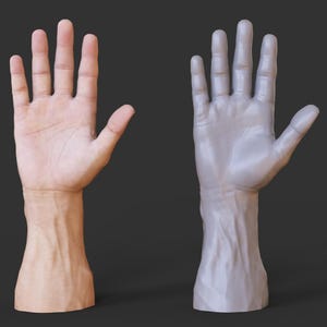 May include: Two hands are displayed side-by-side against a dark gray background. One hand is rendered in a realistic, flesh-toned color, showcasing detailed skin texture and veins. The other hand is a gray, 3D-rendered model.