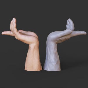 May include: Two sculpted hands, one in realistic skin tones and the other in a smooth, gray finish. Both hands are posed with the palms facing upward, fingers slightly curved, as if offering or receiving something. The background is a solid, dark gray.