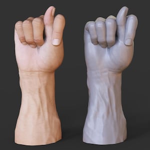 May include: Two realistic human hand sculptures. One is a detailed rendering of a hand with skin tones, the other is a monochromatic gray model. Both hands are in a fist with the index finger extended.