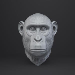 May include: A gray chimpanzee head sculpture with closed eyes, detailed facial features, and a textured surface. The sculpture is set against a dark gray background, showcasing the primate's likeness.