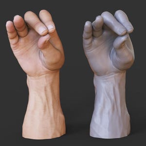 May include: Two hands are displayed side-by-side. One is a realistic rendering of a human hand with skin tones, showing details of veins and knuckles. The other is a gray, monochromatic 3D model of a hand in the same pose.