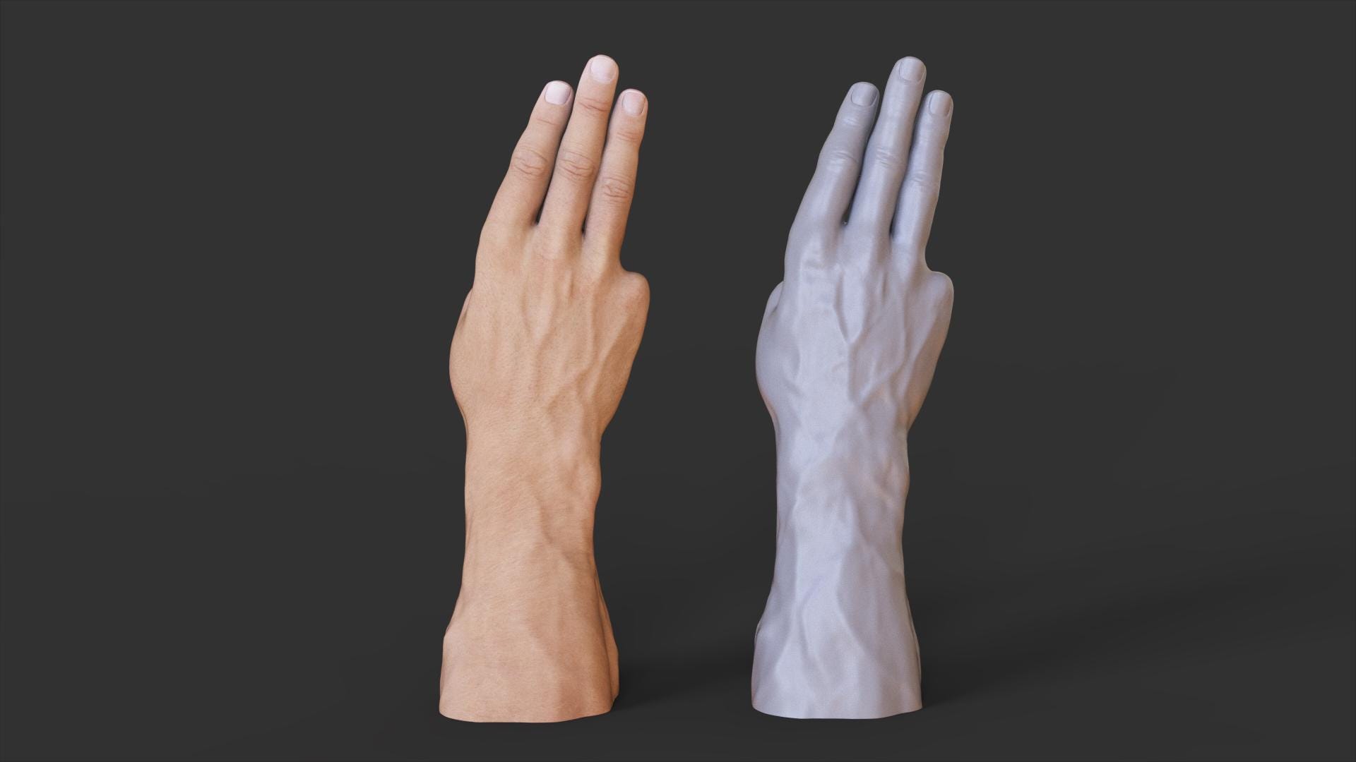 Hand Gesture 3D Model | Three Finger Salute Pose (digital Download) - Etsy