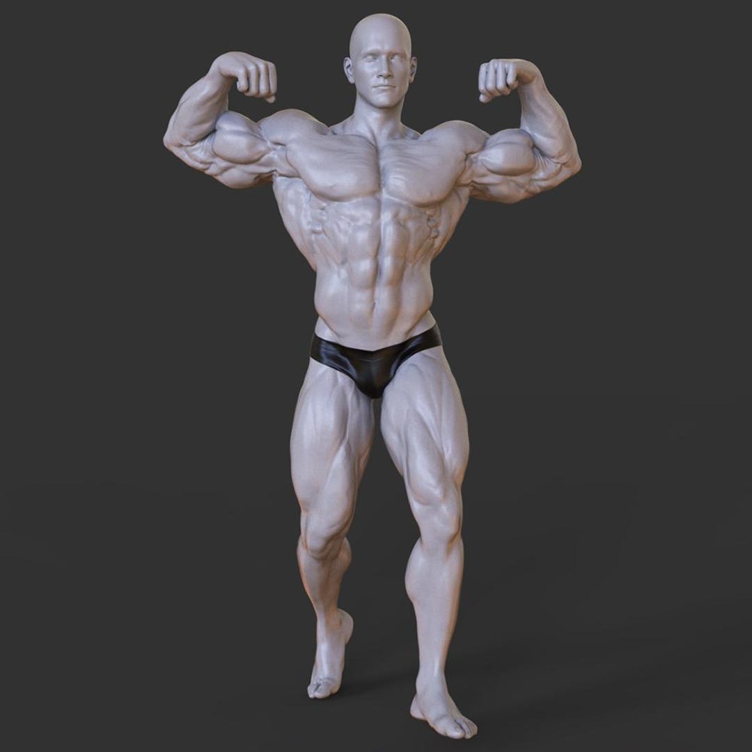 Bodybuilder Character STL File | Muscular Anatomy 3D Model (digital ...