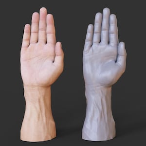以下が含まれることがあります： 人間の手と灰色の3Dモデルの手を並べて比較したもので、どちらも手のひらを視聴者に向けています。手は肌色が明るく血管が見え、モデルは滑らかでモノクロです。