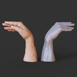 May include: A side-by-side comparison of two human arms and hands. One arm is rendered in a realistic skin tone, while the other is a pale, monochromatic version. Both arms are bent at the elbow, with the hands extended.