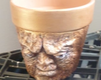 terra cotta planter with face