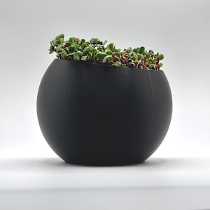 Modernes Microgreens Growing Set - Sprossen Anzuchtset mit Edelstahl Option