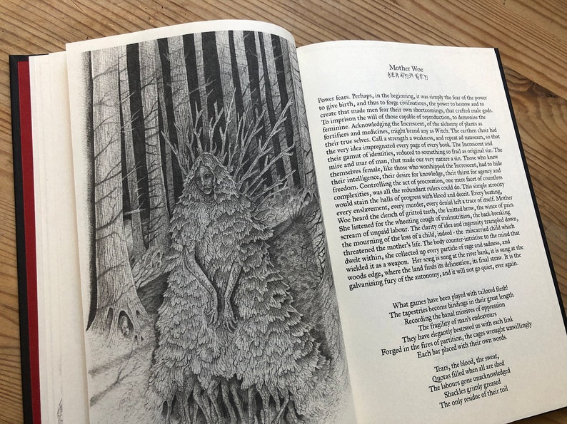 May include: An open book with detailed black and white illustrations. One page features a drawing of a figure made of leaves and branches in a forest setting. Text in English and another language is also visible.