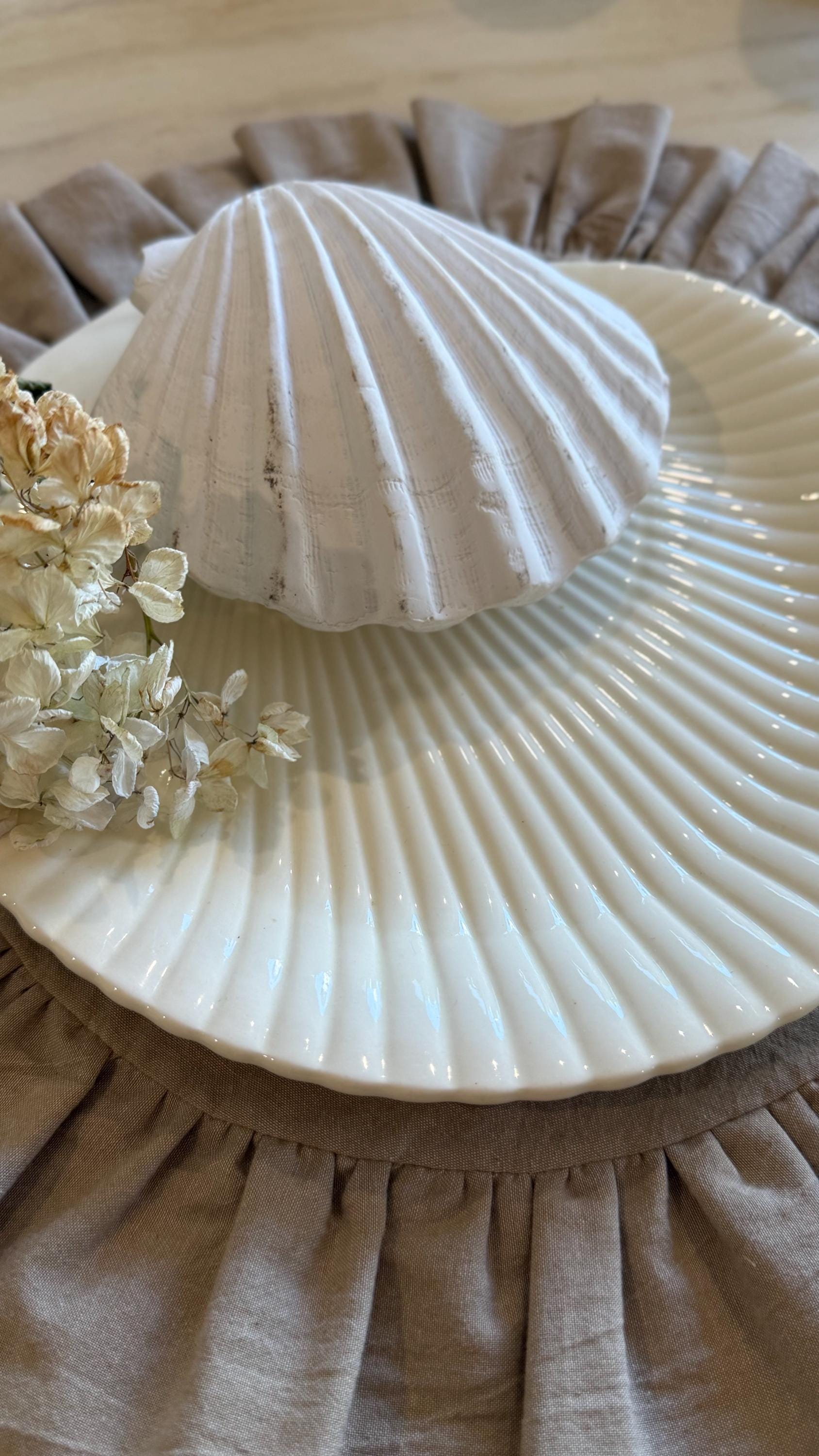 Wedgwood Nautilus Shell - Etsy