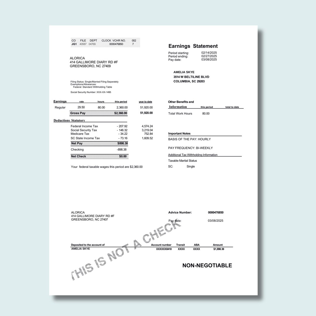 Editable Paystub Template PDF, Salary Slip Template, Pay Slip Template ...