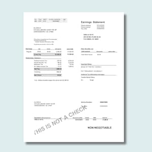 Paystub Template PDF, Salary Slip Template, Pay Slip Template, Paycheck, Instant Download, Easy to Customize, Printable