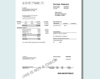 Editable Paystub Template PDF, Salary Slip Template, Pay Slip Template, Paycheck, Instant Download, Easy to Customize, Printable