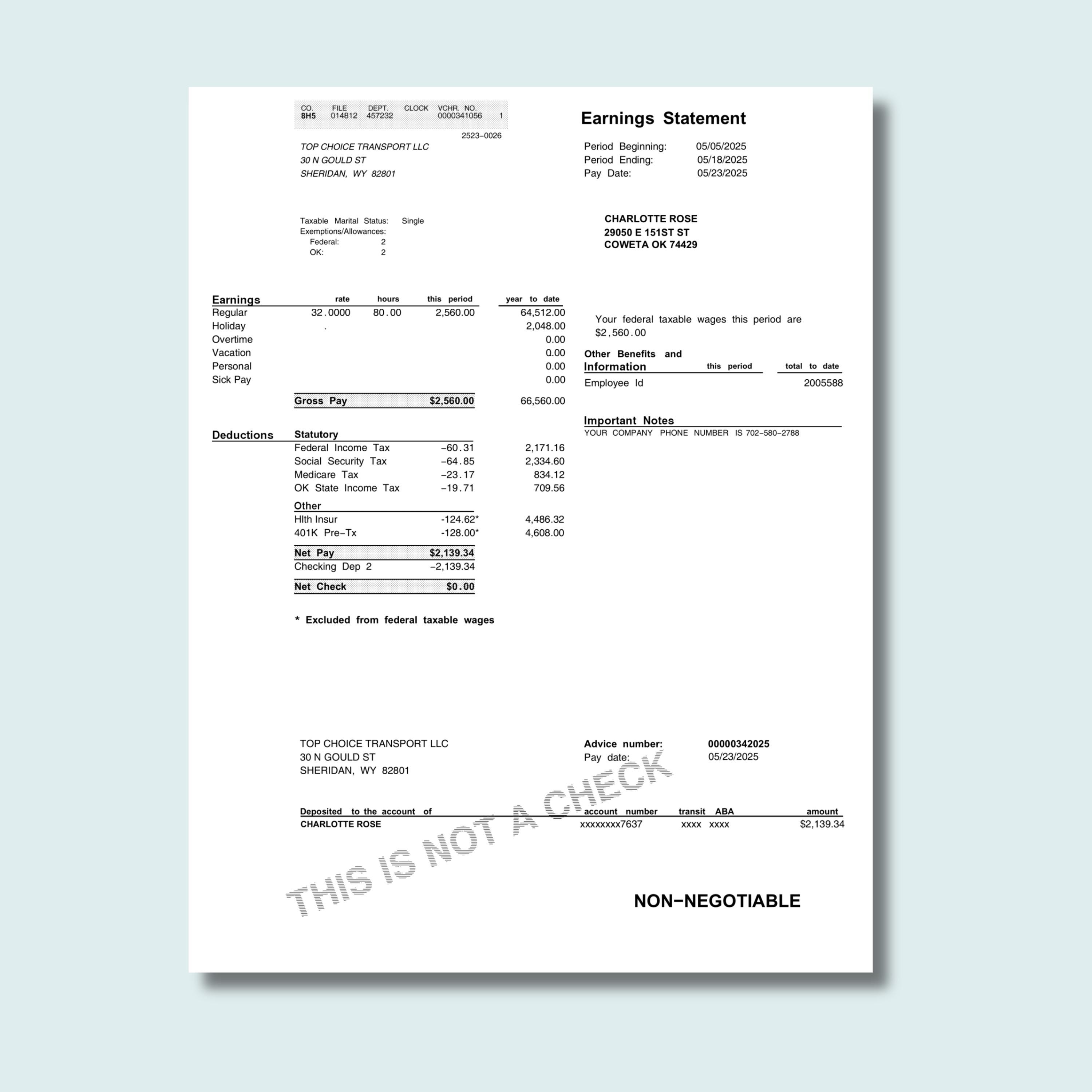 Paystub Template, Editable Employee Paycheck Stub, Pay Stub, Simple