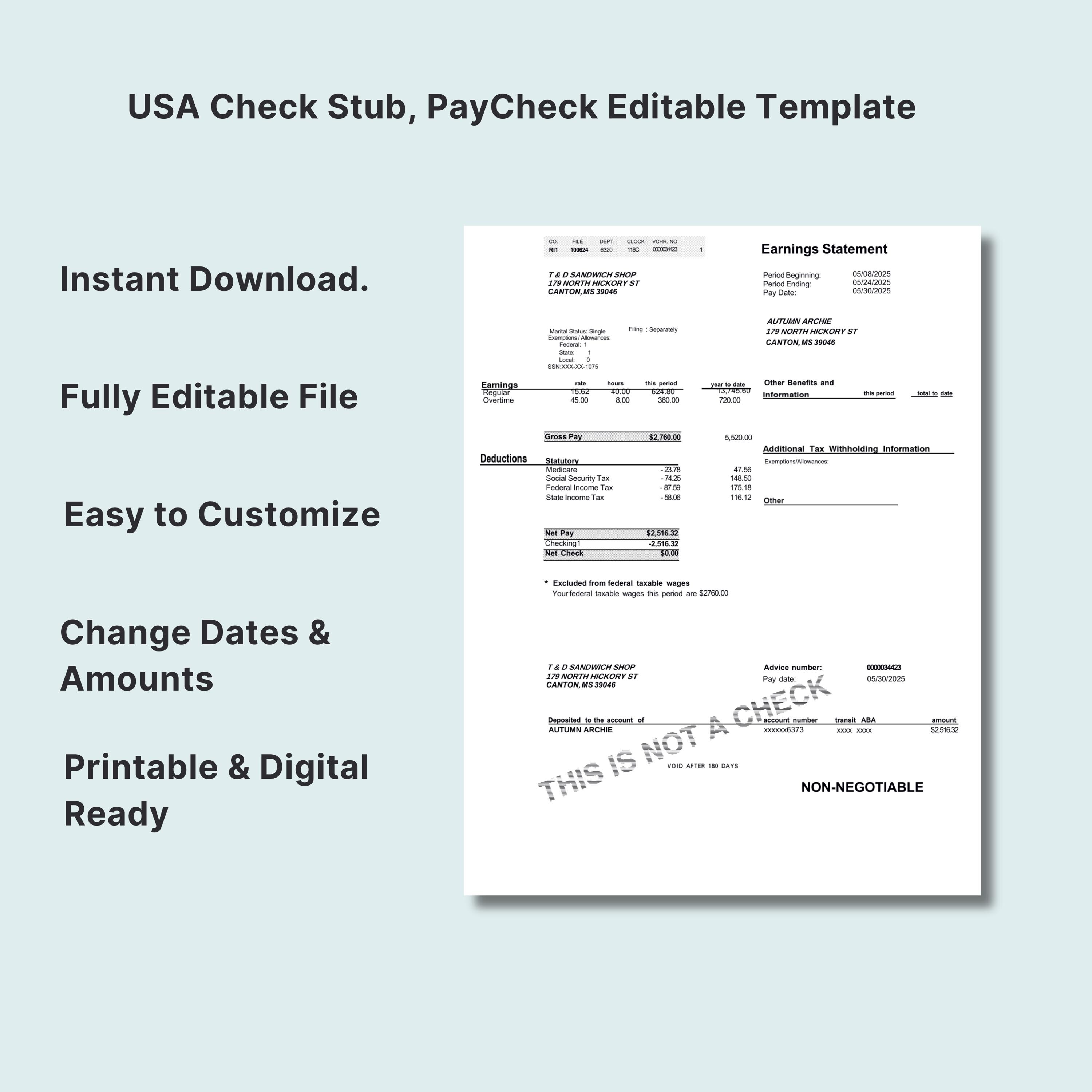 Editable Paystub Template, Editable Employee Paycheck Template, Simple