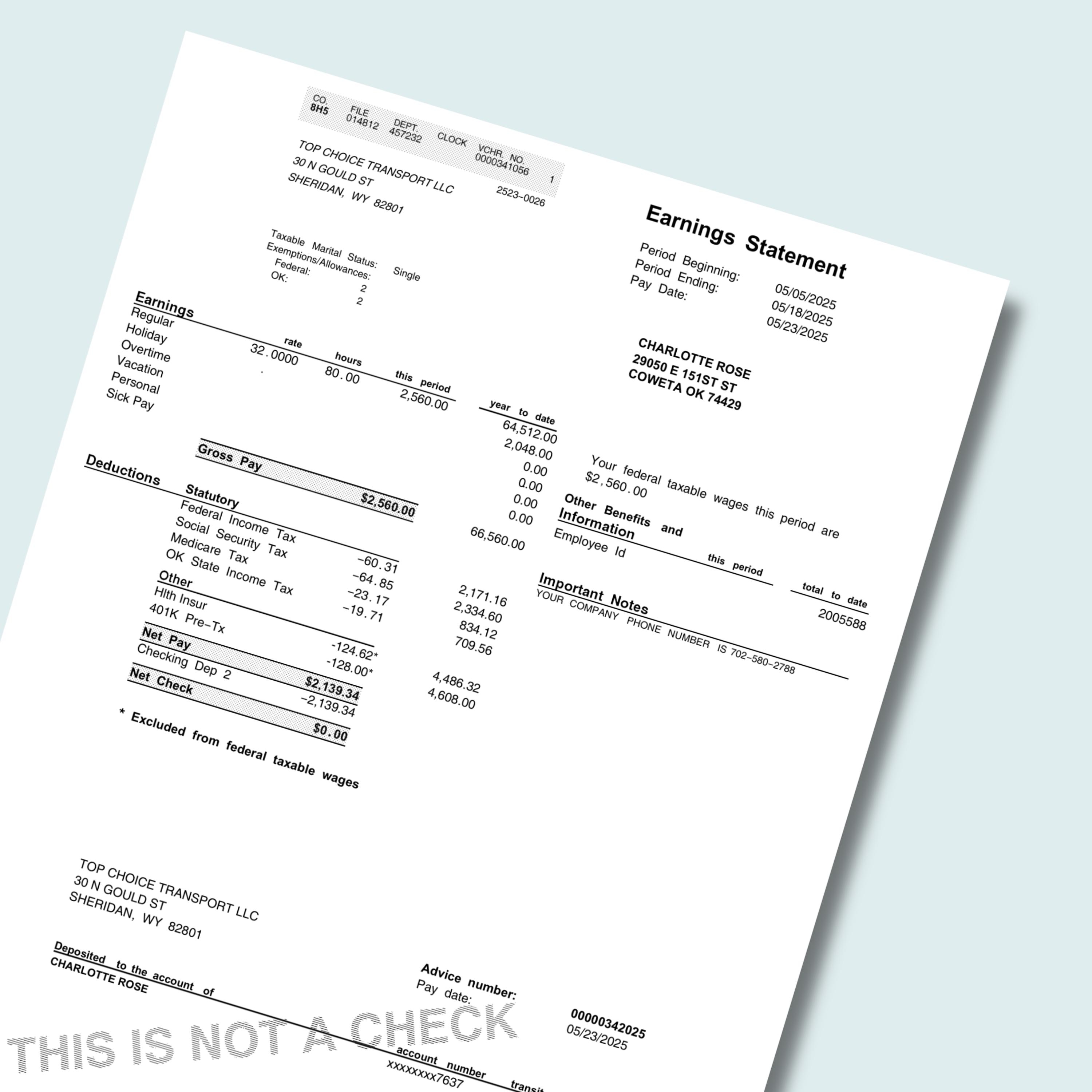 Editable Paystub Template, Editable Employee Paycheck Stub, Pay Stub ...