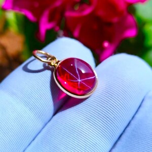 Lindy Star Rubin Ädelstenshänge 925 Sterling Silver Smycken Bäst Till Julklapp